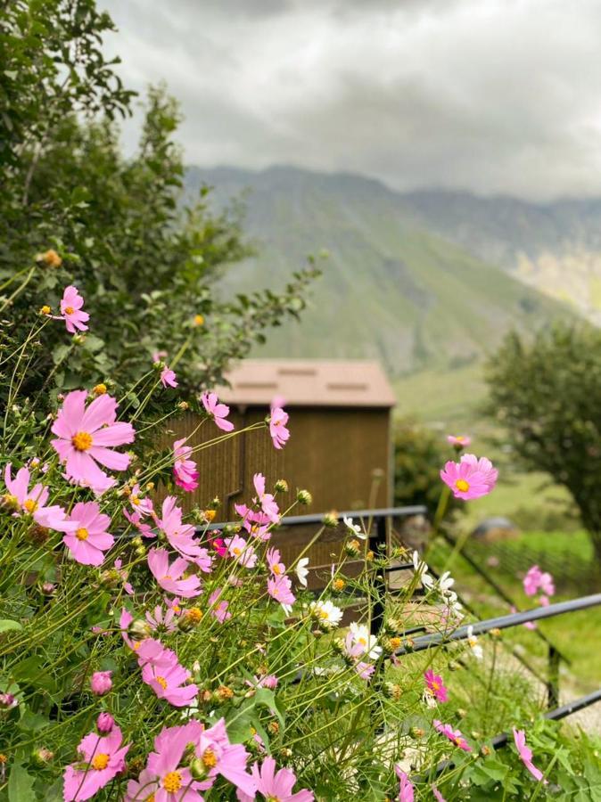 My Space Kazbegi Apartamento Exterior foto
